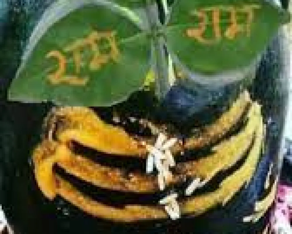 Mahasomvar belpatra (Sri Ram naam and Om namah Shivay likhit)