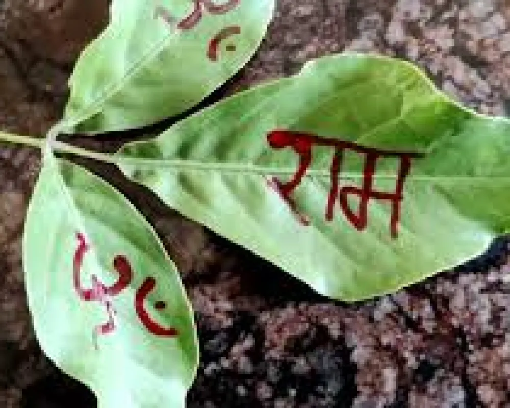 Four Mahasomvar  belpatra (sri Ram naam and Om namah Shivay likhit)