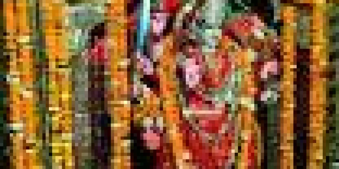 Aadishakti pateshwari mandir, Tulsipur